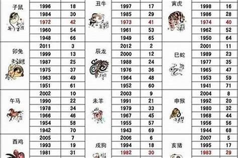 92 年生肖|1992 年出生属什么生肖